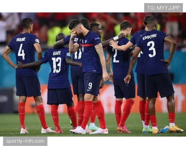 法国队再征世界杯，卫冕之路挑战与机遇并存